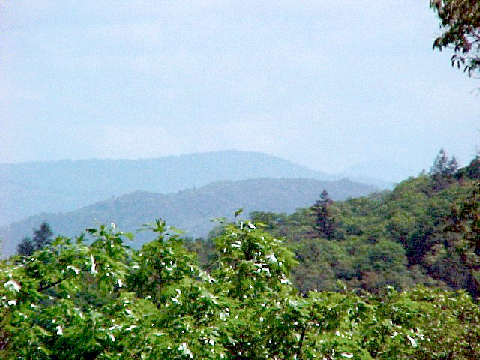 Annwfn looking east from the meadow.